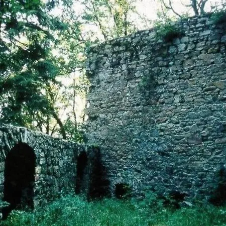 Gemutliche In Ebersdorf Mit Grossem Garten Daire *